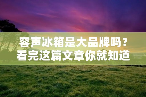 容声冰箱是大品牌吗？看完这篇文章你就知道了！