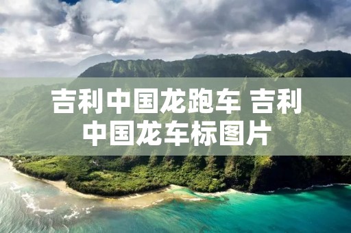吉利中国龙跑车 吉利中国龙车标图片