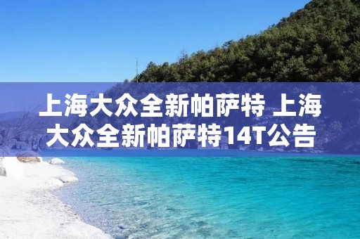 上海大众全新帕萨特 上海大众全新帕萨特14T公告 上海大众全新帕萨特 上海大众全新帕萨特14T公告
