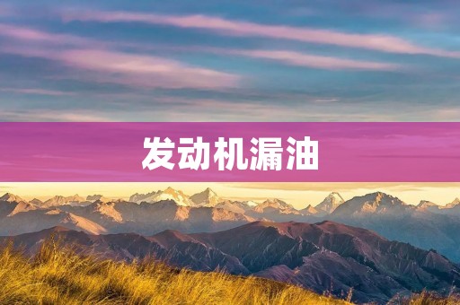 发动机漏油:危害与解决方案 发动机漏油:危害与解决方案