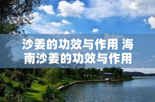 沙姜的功效与作用 海南沙姜的功效与作用