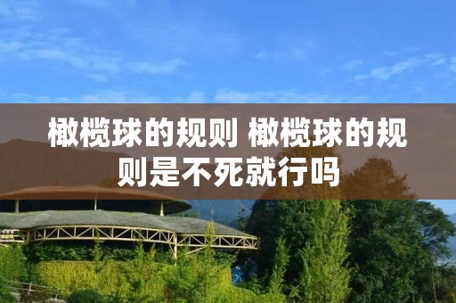 橄榄球的规则 橄榄球的规则是不死就行吗