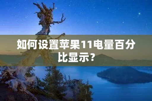 如何设置苹果11电量百分比显示?