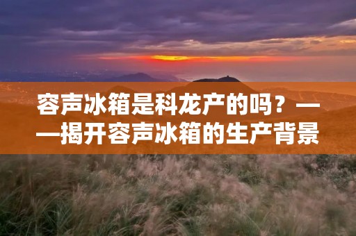 容声冰箱是科龙产的吗？——揭开容声冰箱的生产背景