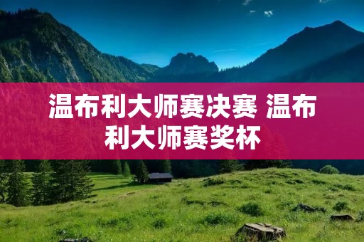 温布利**赛决赛 温布利**赛奖杯