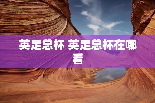 英足总杯 英足总杯在哪看