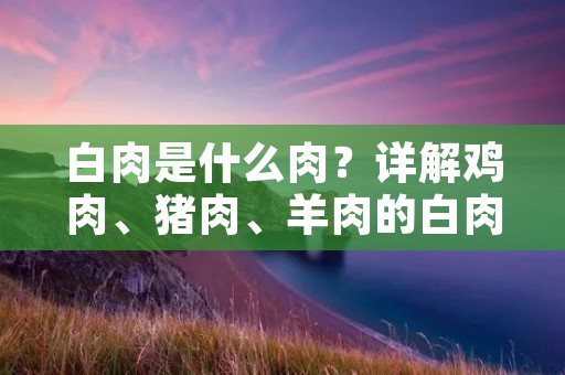 白肉是什么肉?详解鸡肉、猪肉、羊肉的白肉之谜