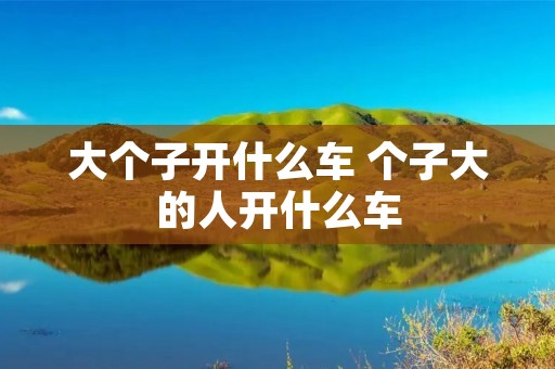 大个子开什么车 个子大的人开什么车