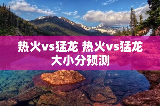 热火vs猛龙 热火vs猛龙大小分预测