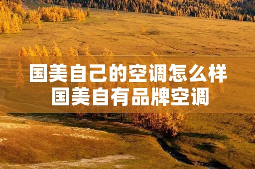 国美自己的空调怎么样 国美自有品牌空调
