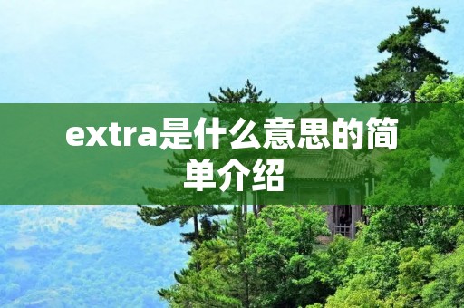 extra是什么意思的简单介绍