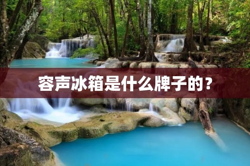 容声冰箱是什么牌子的？
