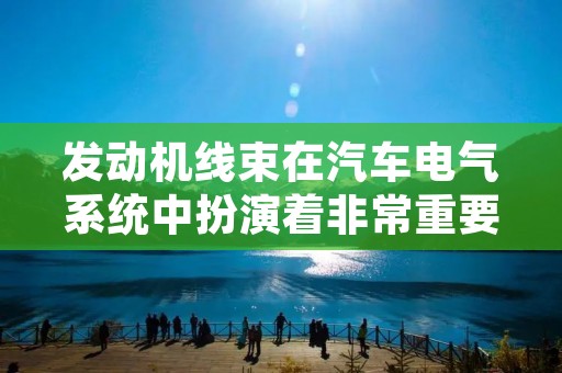 发动机线束在汽车电气系统中扮演着非常重要的角色。它是连接发动机各个部件的电线**体，包括点火系统、燃油喷射系统、传感器和控制模块等。发动机线束的质量直接影响着汽车的性能和可靠性。本文将从发动机线束的材料、制作工艺、维护等方面进行详细描述。