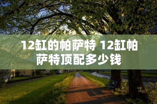 12缸的帕萨特 12缸帕萨特顶配多少钱