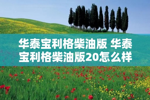华泰宝利格柴油版 华泰宝利格柴油版20怎么样