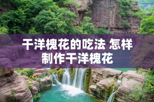 干洋槐花的吃法 怎样制作干洋槐花