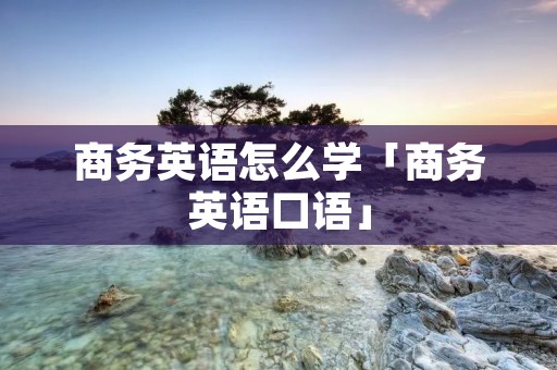 商务英语怎么学「商务英语口语」