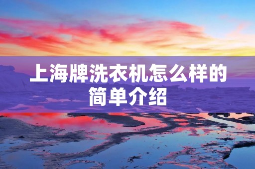 上海牌洗衣机怎么样的简单介绍