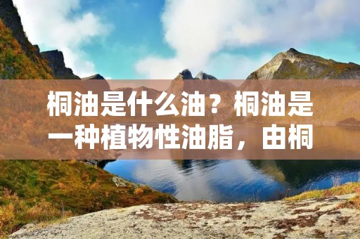 桐油是什么油?桐油是一种植物性油脂,由桐树的种子压榨而得。桐树原产于中国,被称为“南国之王”,是一种非常珍贵的树种。桐油在中国历史上有着悠久的使用历史,被广泛应用于木器、漆器、纸张、绸缎等行业。