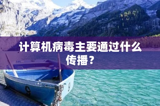 计算机病毒主要通过什么传播?