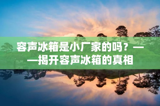 容声冰箱是小厂家的吗？——揭开容声冰箱的真相
