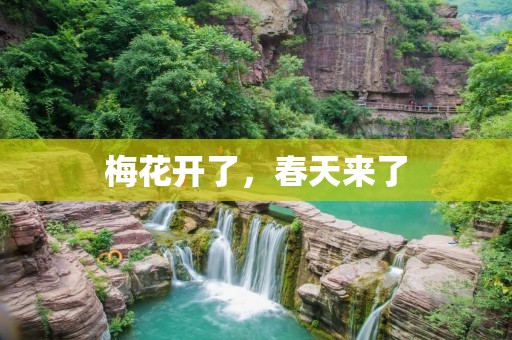 梅花开了,春天来了