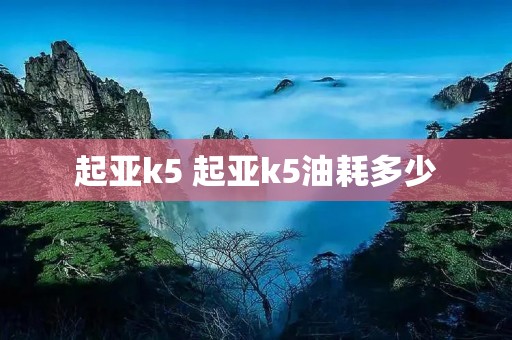 起亚k5 起亚k5油耗多少