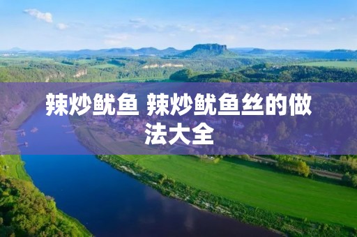 辣炒鱿鱼 辣炒鱿鱼丝的做法大全