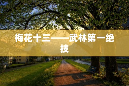 梅花十三——武林第一绝技