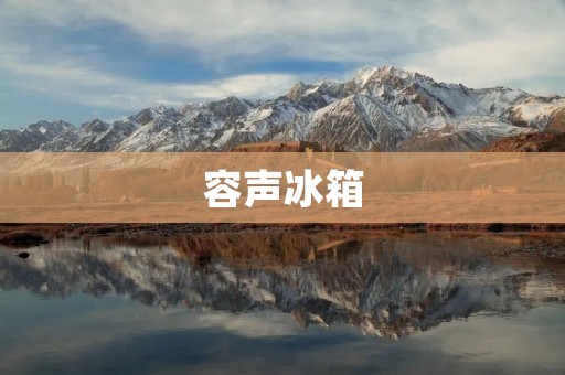容声冰箱：一线品牌的探究