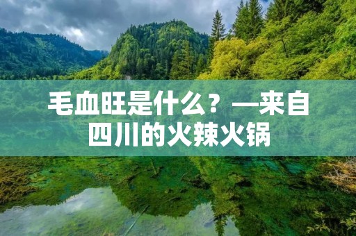 毛血旺是什么?—来自四川的火辣火锅