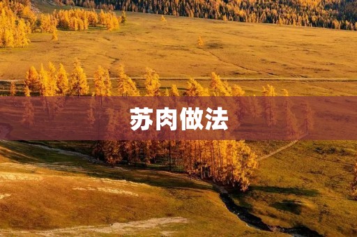 苏肉做法:传统美味的制作方法 苏肉做法:传统美味的制作方法