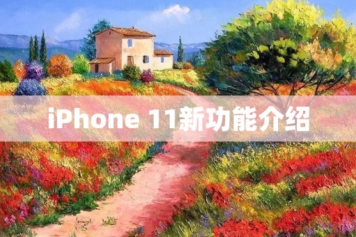 iPhone 11新功能介绍:一次升级换代的完美呈现