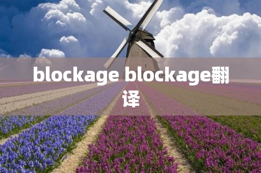 blockage blockage翻译