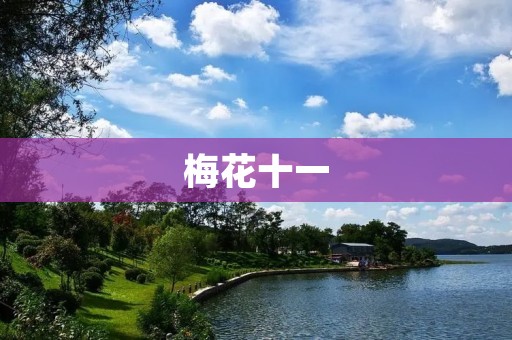 梅花十一:一场关于中国冬季运动的盛宴