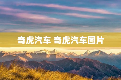 奇虎汽车 奇虎汽车图片