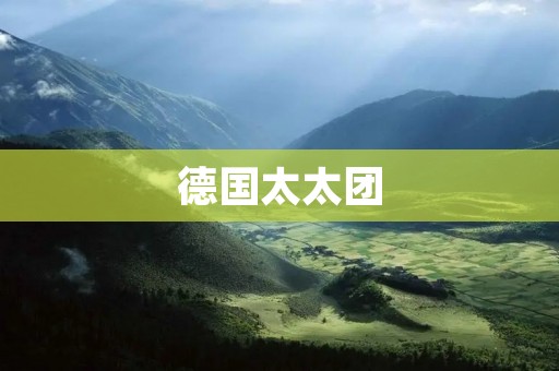 德国太太团：一个为德国妇女争取权益的组织
