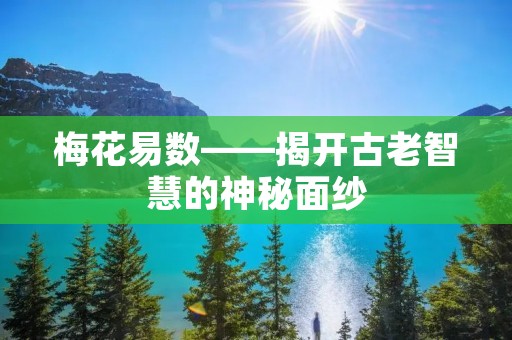 梅花易数——揭开古老智慧的神秘面纱