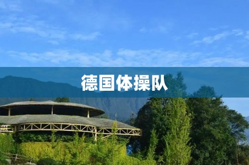 德国体操队：坚持训练，追求卓越