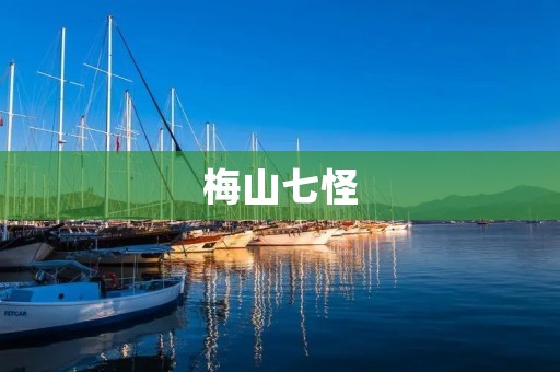 梅山七怪:江湖上不可忽视的一群人