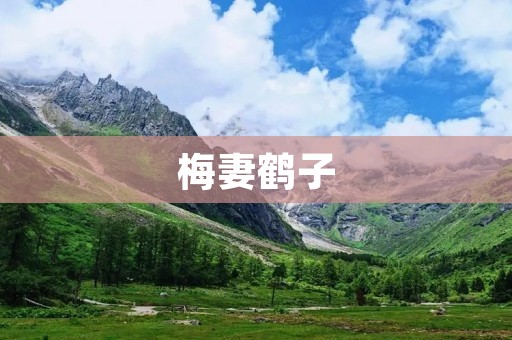 梅妻鹤子:婆婆妈妈的爱情,让人心酸