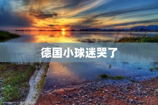 德国小球迷哭了：世界杯失利引发的心理困境