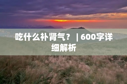 吃什么补肾气? | 600字详细解析