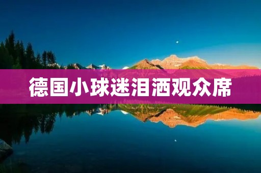 德国小球迷泪洒观众席:足球精神的真正传承 德国小球迷泪洒观众席:足球精神的真正传承