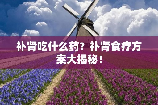 补肾吃什么药?补肾食疗方案大揭秘!