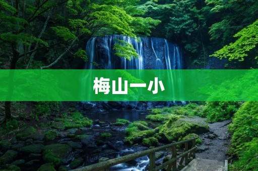 梅山一小:培养优秀学生的摇篮