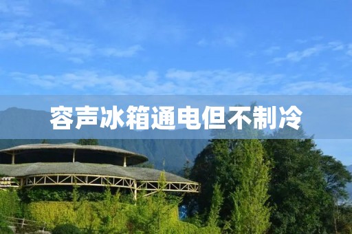 容声冰箱通电但不制冷:原因和解决方法 容声冰箱通电但不制冷:原因和解决方法