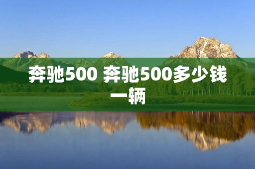 奔驰500 奔驰500多少钱一辆 奔驰500 奔驰500多少钱一辆