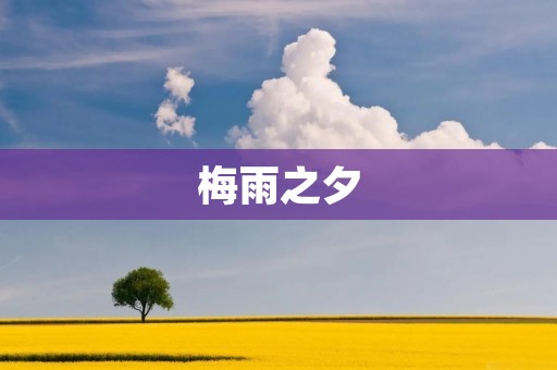 梅雨之夕:迷雾笼罩下的深情夜