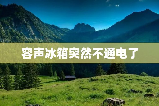 容声冰箱突然不通电了：如何快速解决？